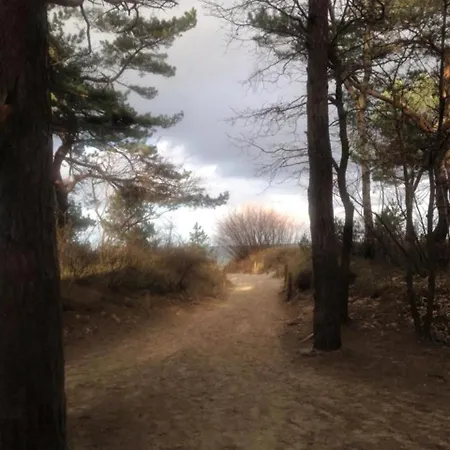 Johannes بيت للعطل *