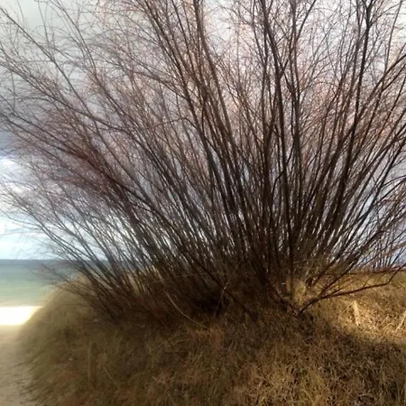 Johannes بيت للعطل