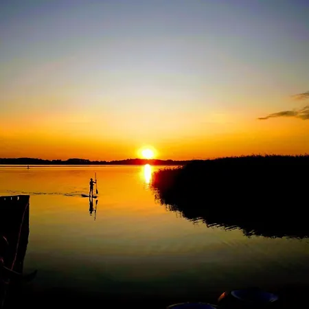 Johannes * زينوويتز